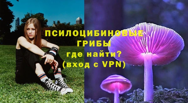 a pvp Горнозаводск