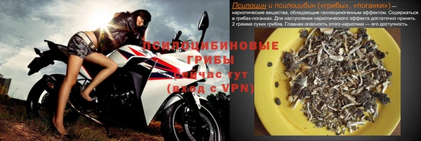 МДПВ Горняк