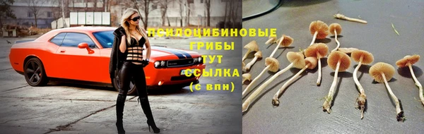 МДПВ Горняк