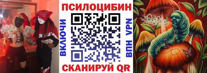 Галлюциногенные грибы Psilocybine cubensis  где продают   Пыталово 